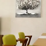 Apartament Aki Gray Brașov