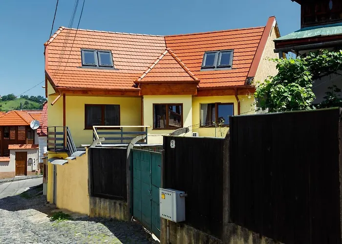 Aki Gray 布拉索夫