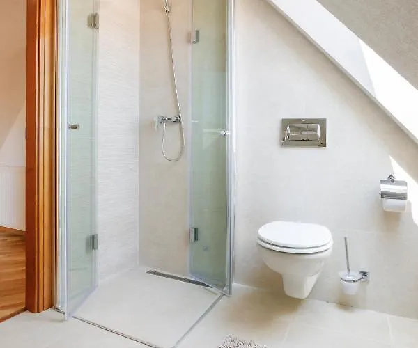 Aki Gray 布拉索夫