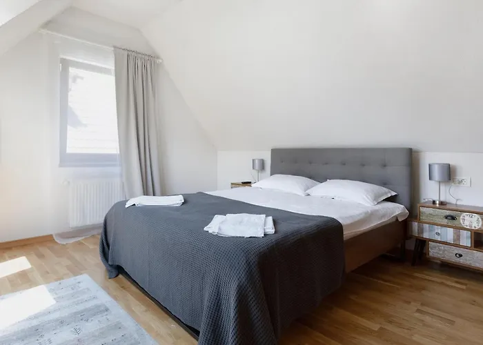 Aki Gray 布拉索夫