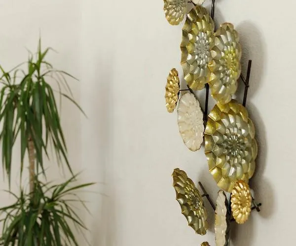 Aki Gray Apartman Brassó