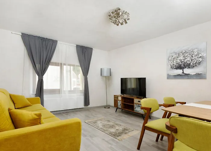 Aki Gray 布拉索夫