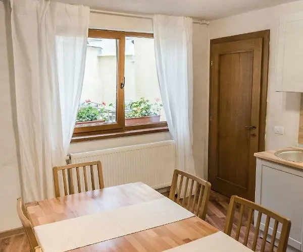 Apartman Aki Gray Brassó